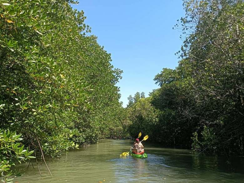Kayaking photo 1 - Koh Lanta, Krabi, Thailand