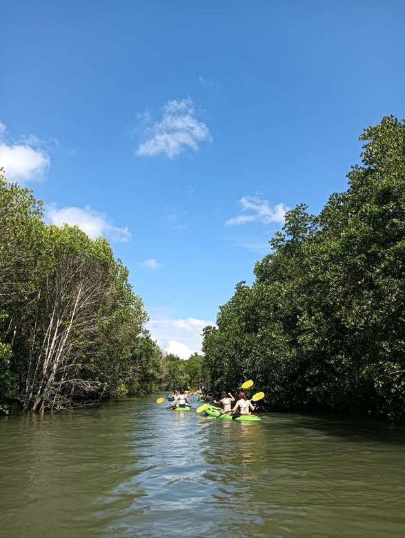 Kayaking photo 3 - Koh Lanta, Krabi, Thailand